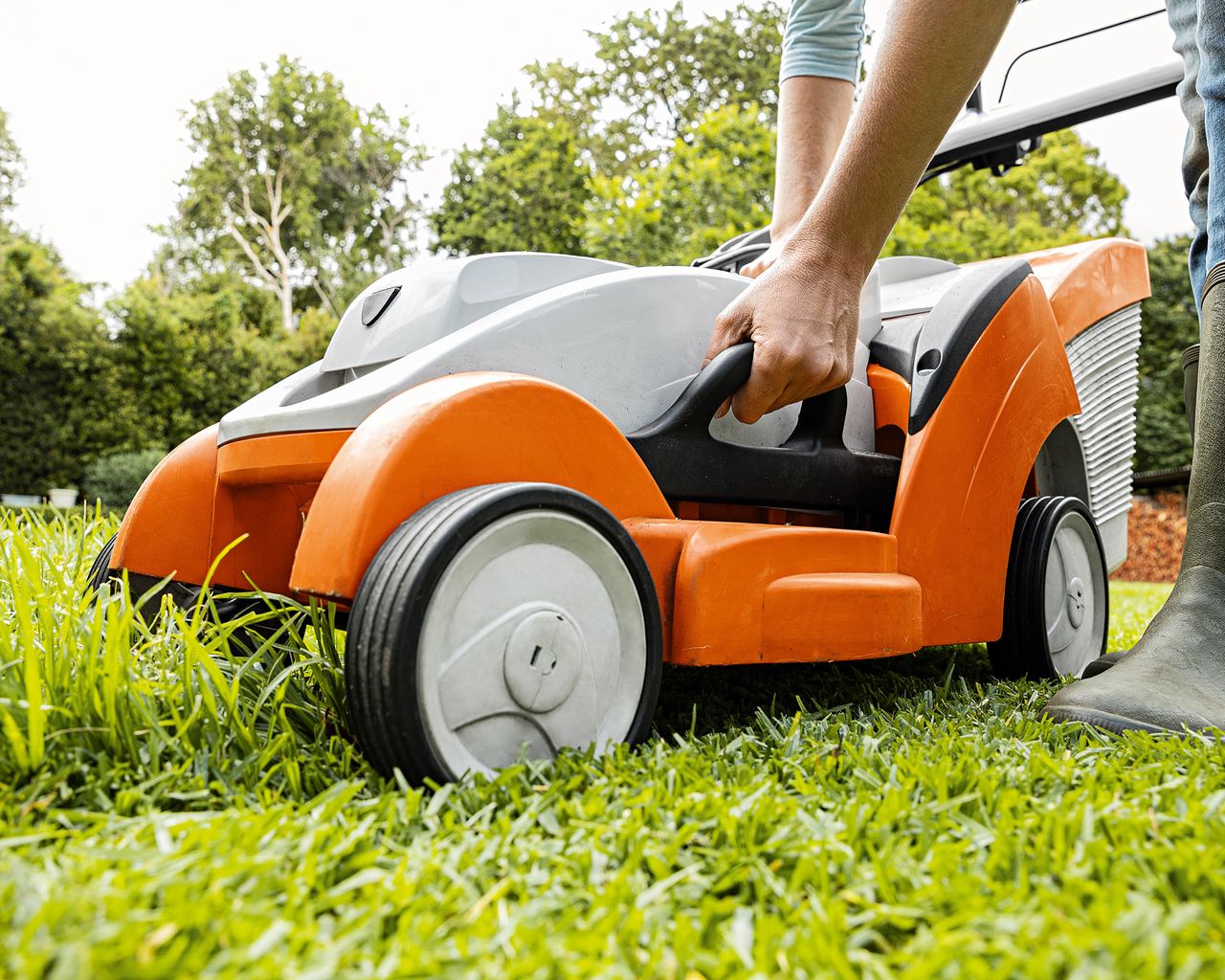 Can you cut wet grass? Your lawn care question, answered Gardeningetc