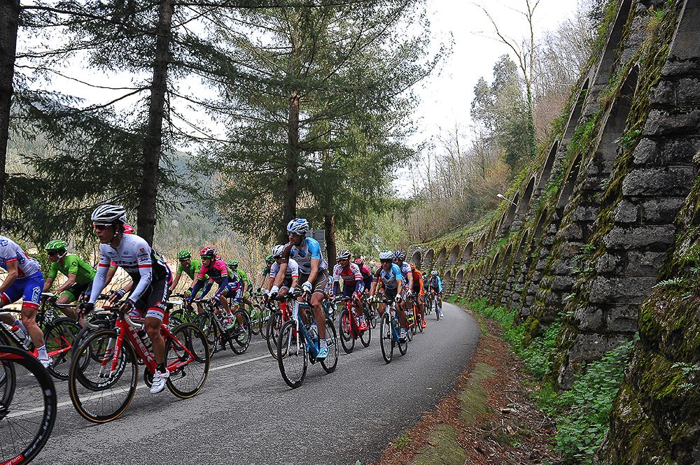 The peloton in action during stage 1.