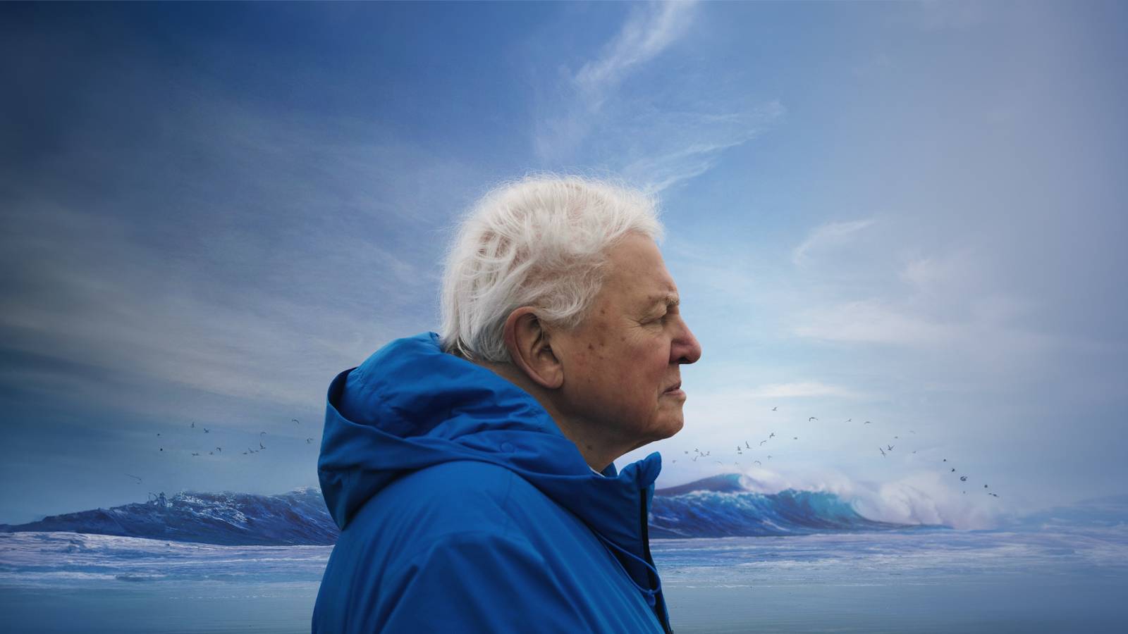 David Attenborough standing before an arctic island.
