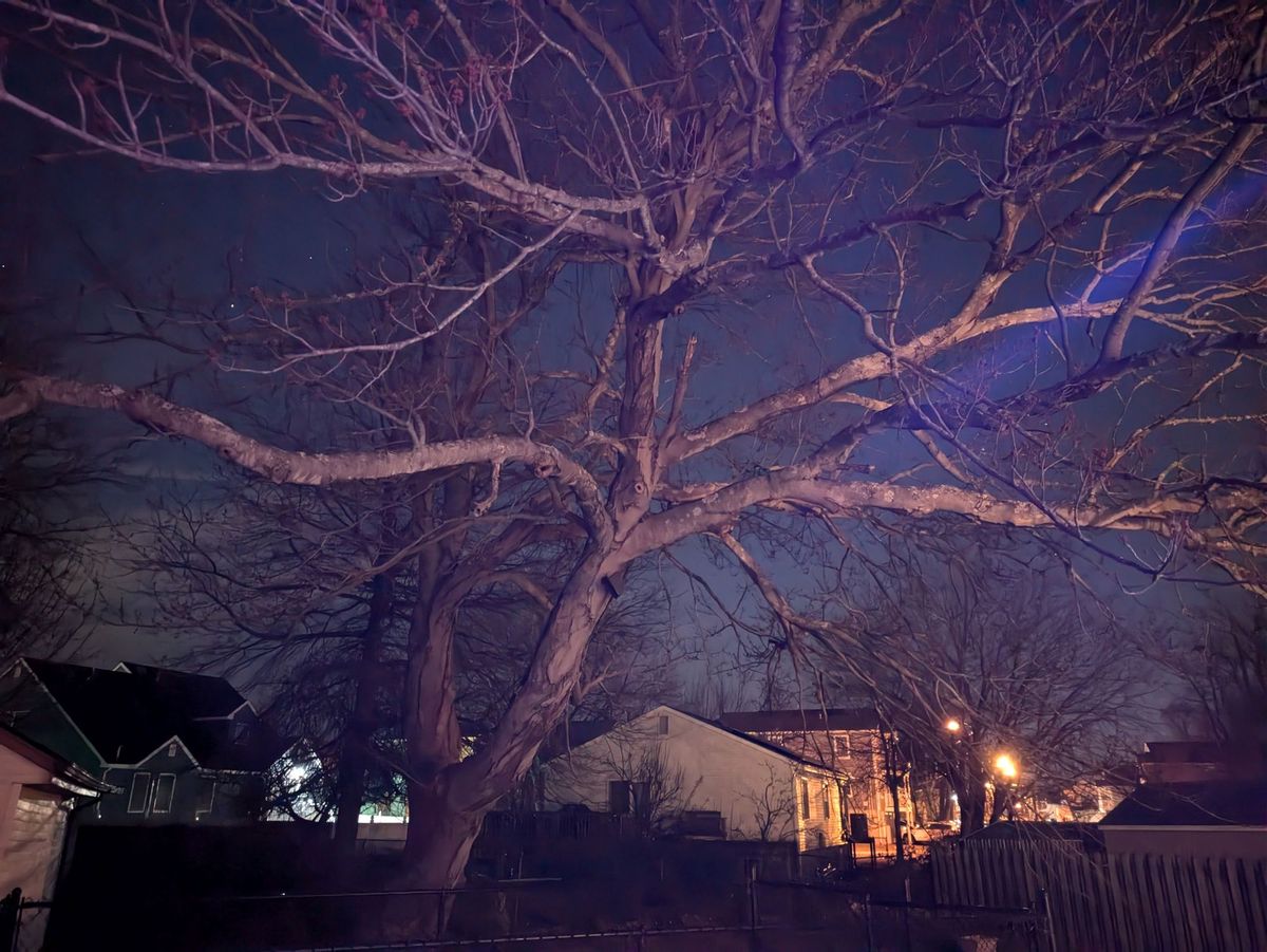 Google Pixel 8a low light sample.