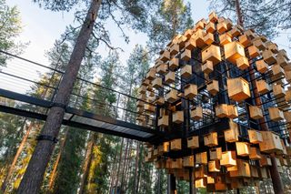 A hotel room nestled amidst the branches of a Sweden forest is composed of multiple wooden boxes and reflective, metallic paneling resembling a beehive.