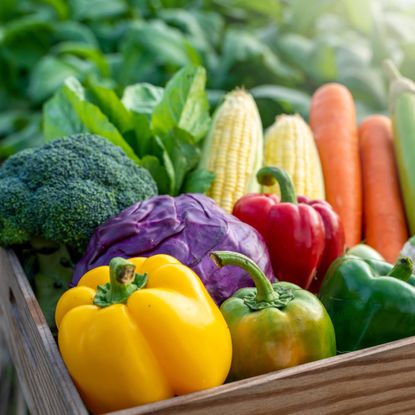 Vegetable harvest