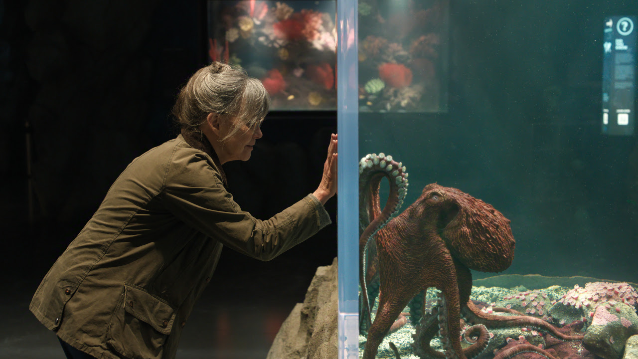 Tova (Sally Field) gazes at Marcellus (Alfred Molina) in Remarkably Bright Creatures.