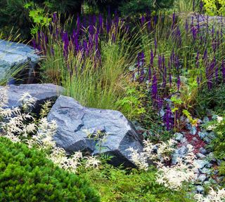 rocks with plants in a border
