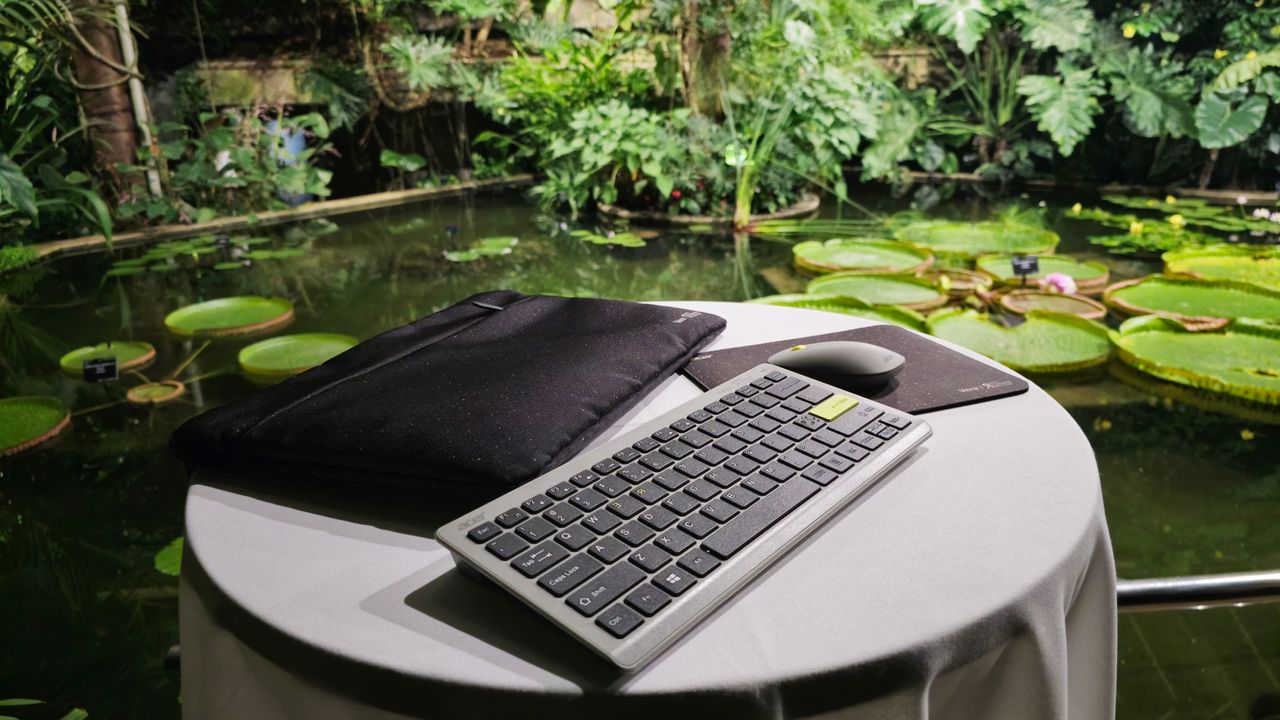 Acer Kew Gardens event