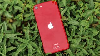 iPhone SE 2022 (Red) on foliage