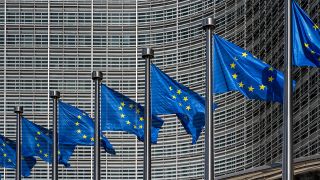Row of European Union flags flying in front of a modern building. The flags are dark blue with a circle of yellow stars