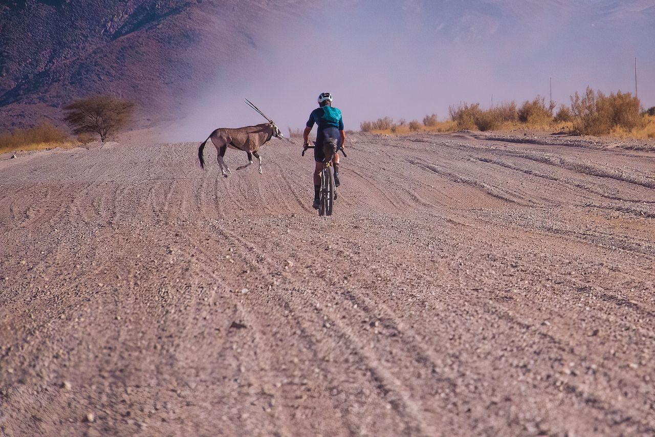 Rhino Run 2022, 2,750km from South Africa's Western Cape through to Windhoek in Namibia