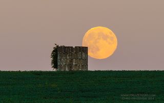 Harvest Moon of September 2014 Over Bloomfield, New York