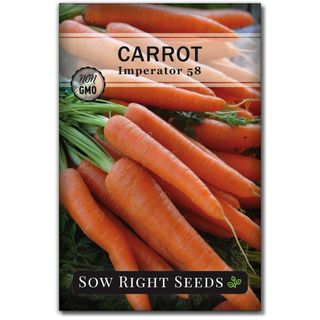 Sow Right Seeds - Imperator 58 Carrot Seed for Planting 