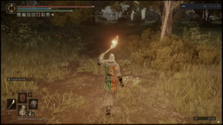 A player desguises themselves as an NPC to avoid an invader
