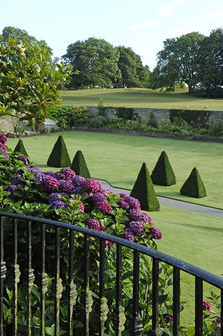 Plas Cadnant