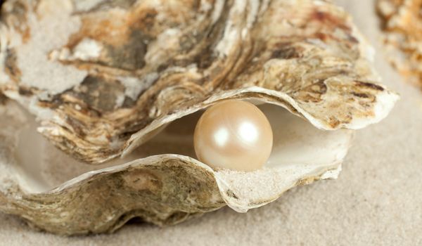 How Do Oysters Make Pearls? | Live Science