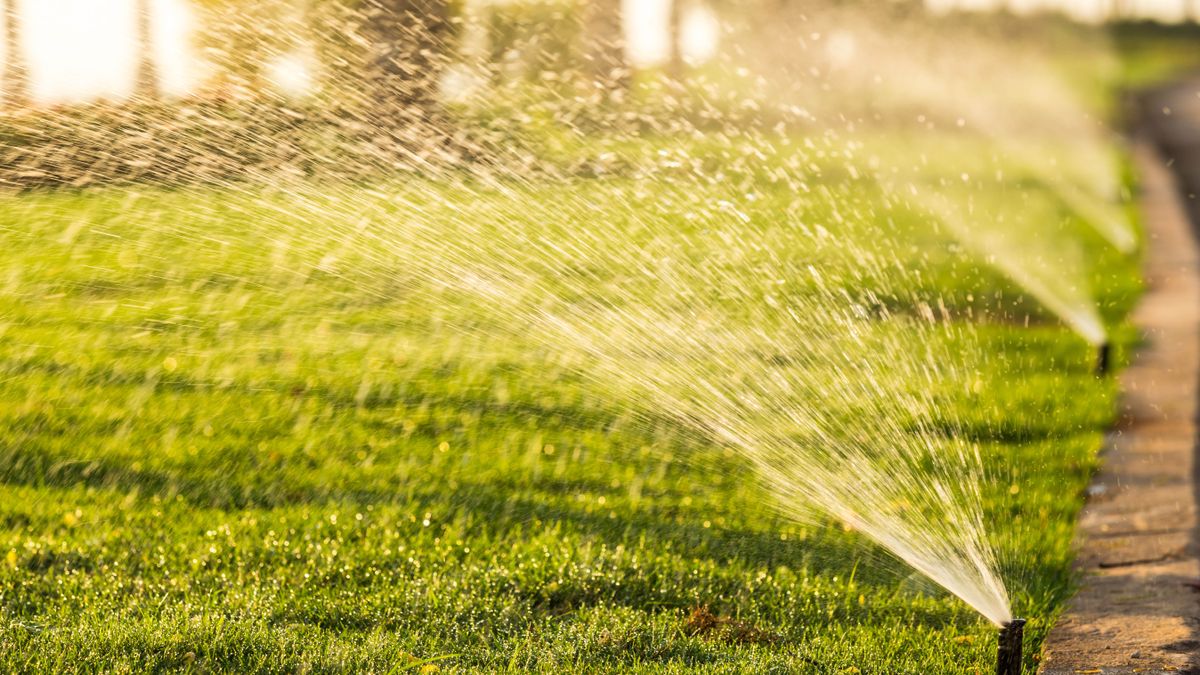 How often should you water your lawn in a heatwave? Here’s what the experts say