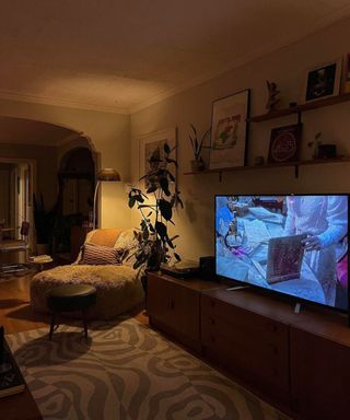 A cozy dimmed small living room with a TV, a TV stand, plants, wall shelving and a corner lamp on