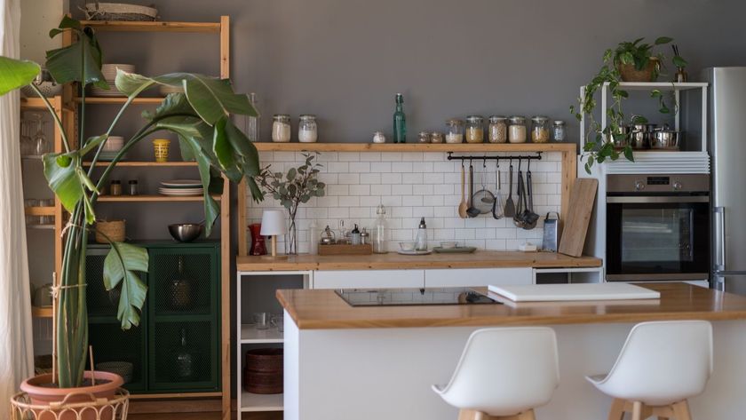 A kitchen with a large plant to the left and grey walls with a wooden worktop