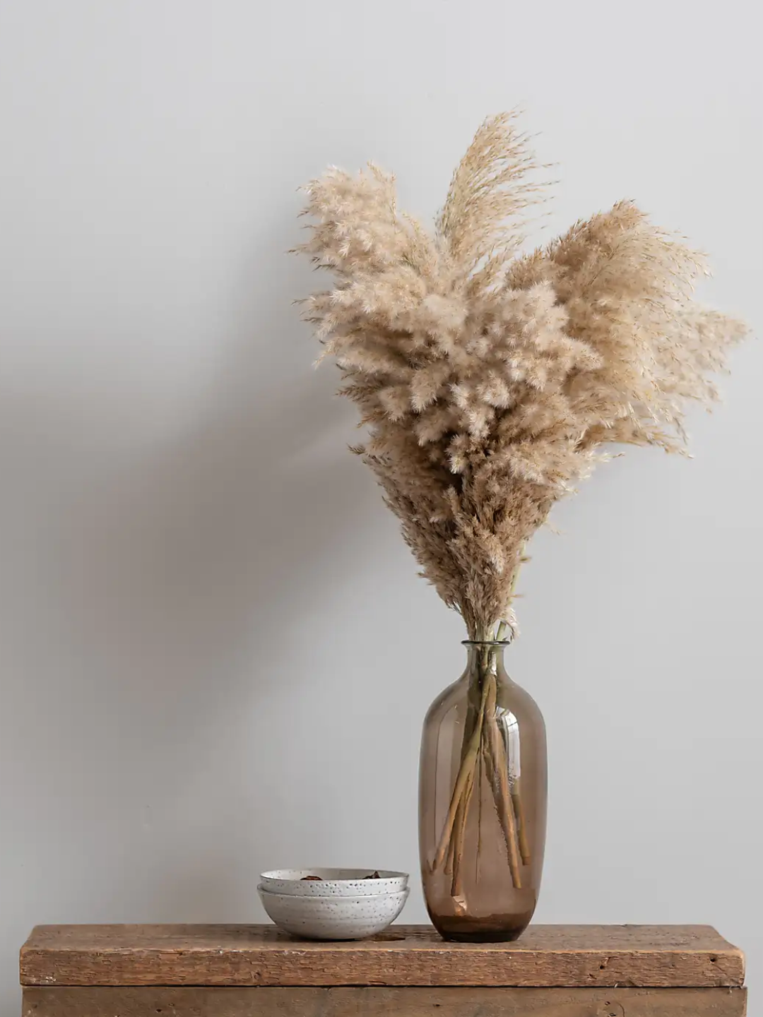 A vase of pampas grass from Habitat