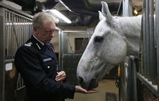 Embassy-horse-PA-24672449.jpg
