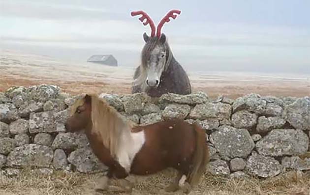 socks-festive2.jpg