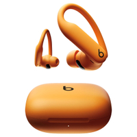 Beats Powerbeats Pro 2