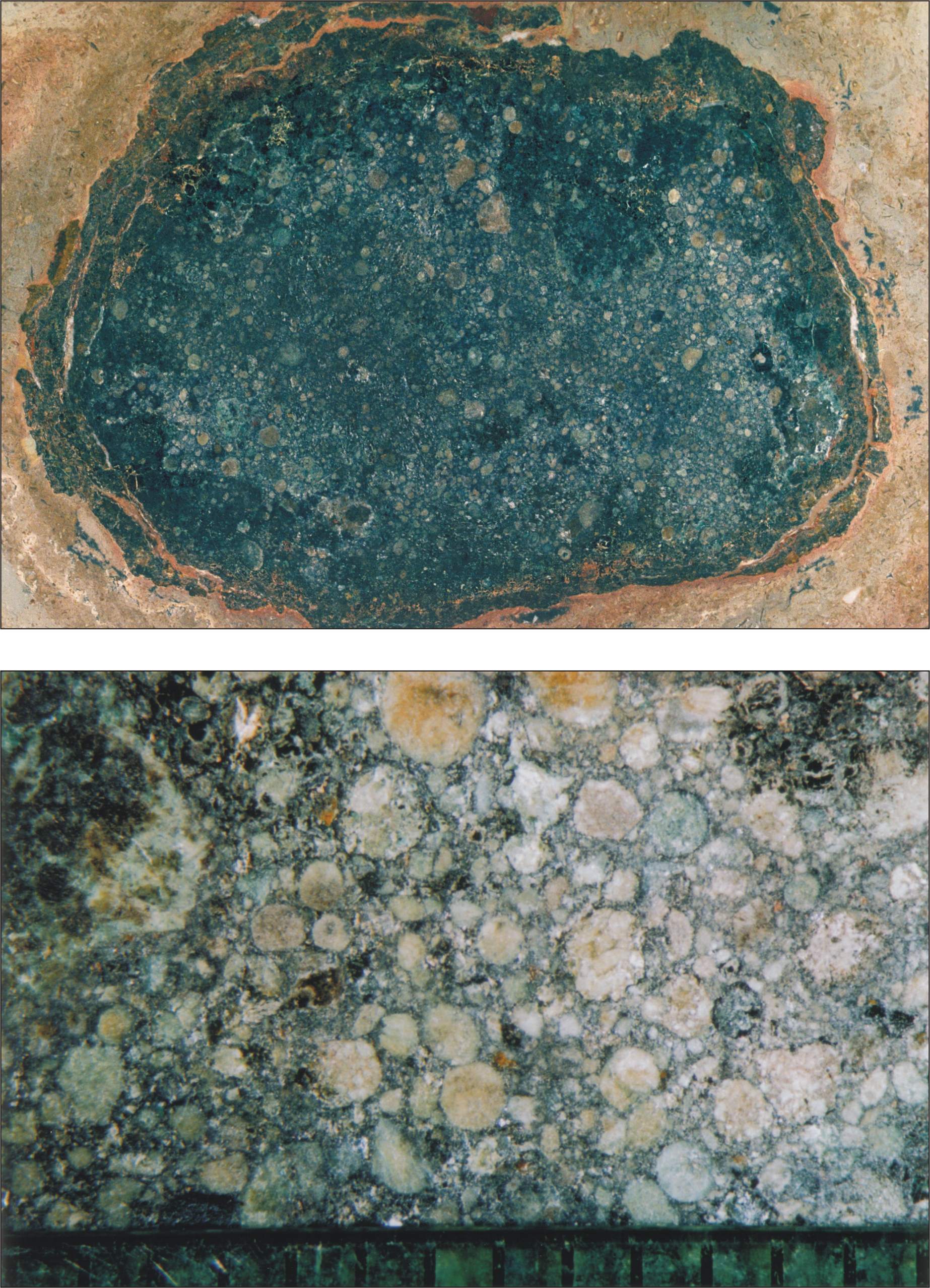 A fossil meteorite with chondrules