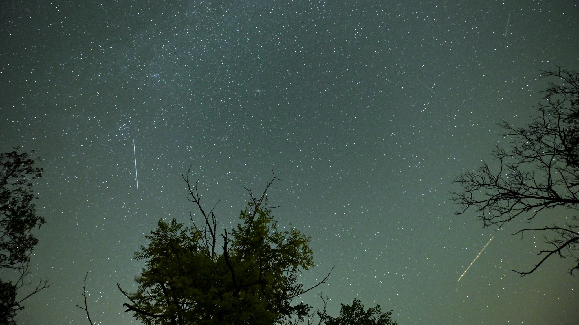 a streak of light crosses through the night sky