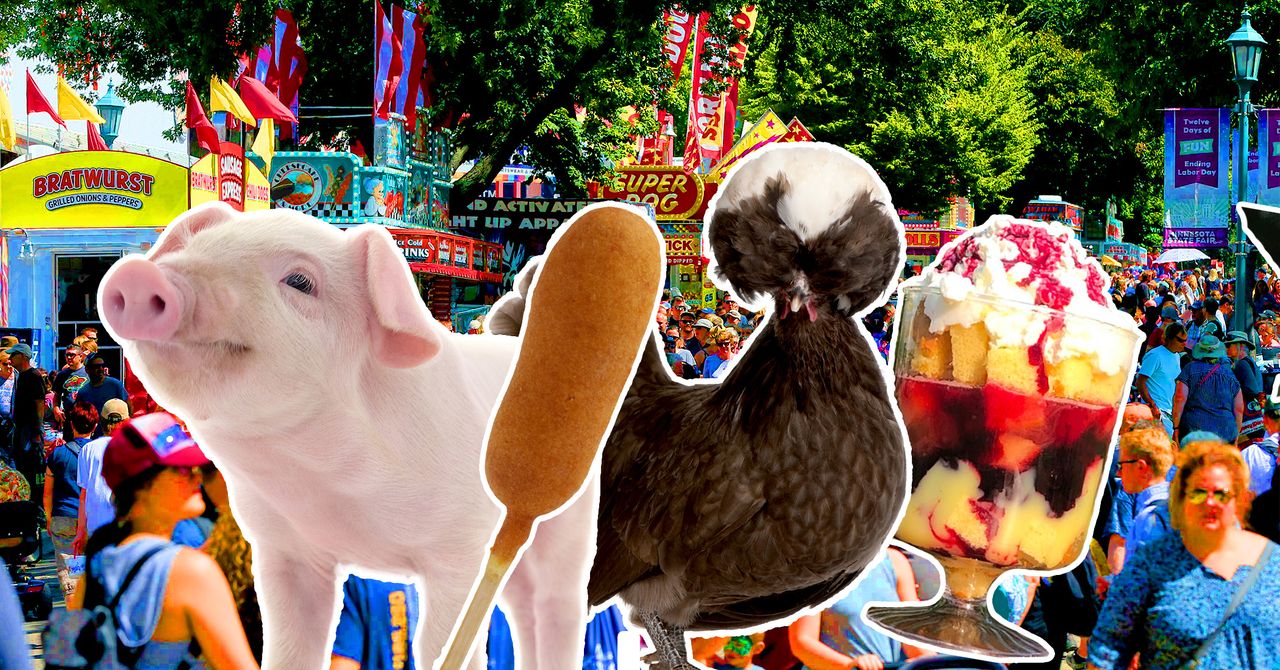 A pig chicken and desserts at the Minnesota state fair.