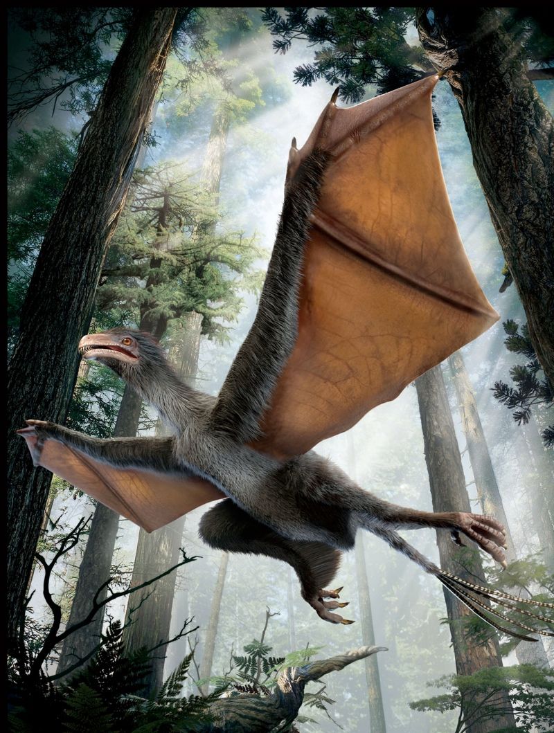 Artist’s impression of the new dinosaur Yi qi.