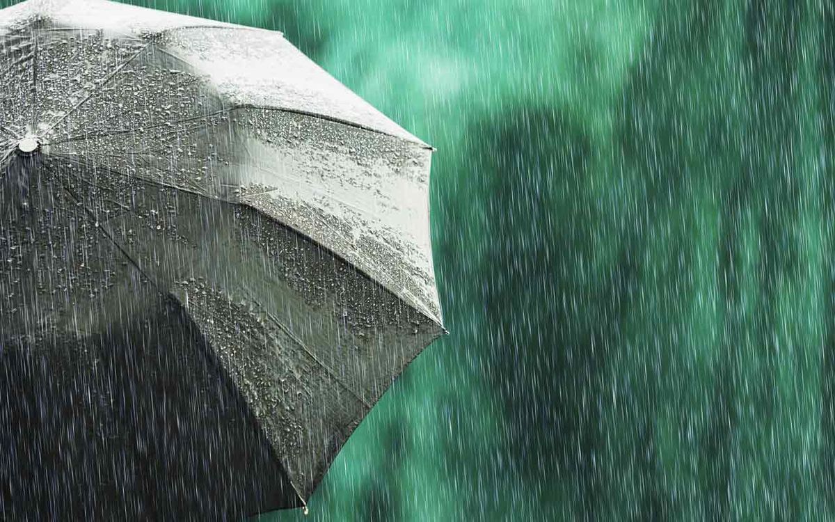11 Reasons You Need Umbrella Insurance Right Now | Kiplinger