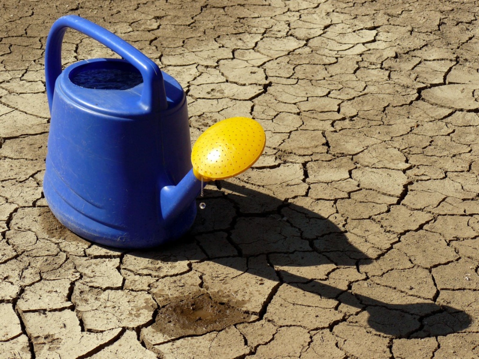 Watering the Garden During a Drought: It's Arid Extra Dry! - HOrT