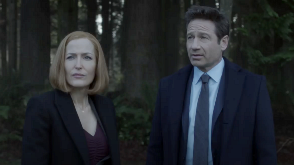 Gillian Anderson and David Duchovny in The X-Files Season 11