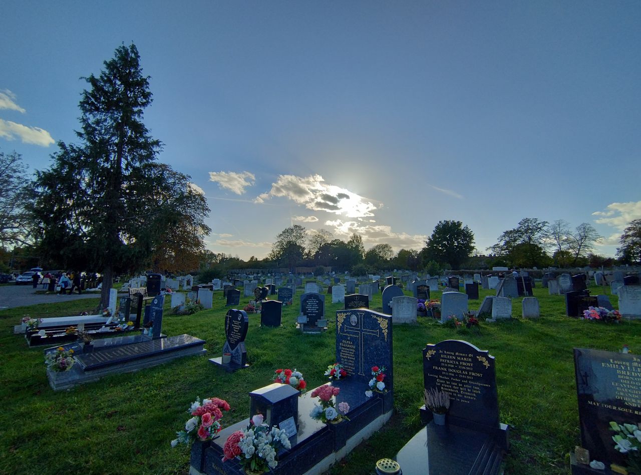 A Motorola Edge 30 Neo camera sample