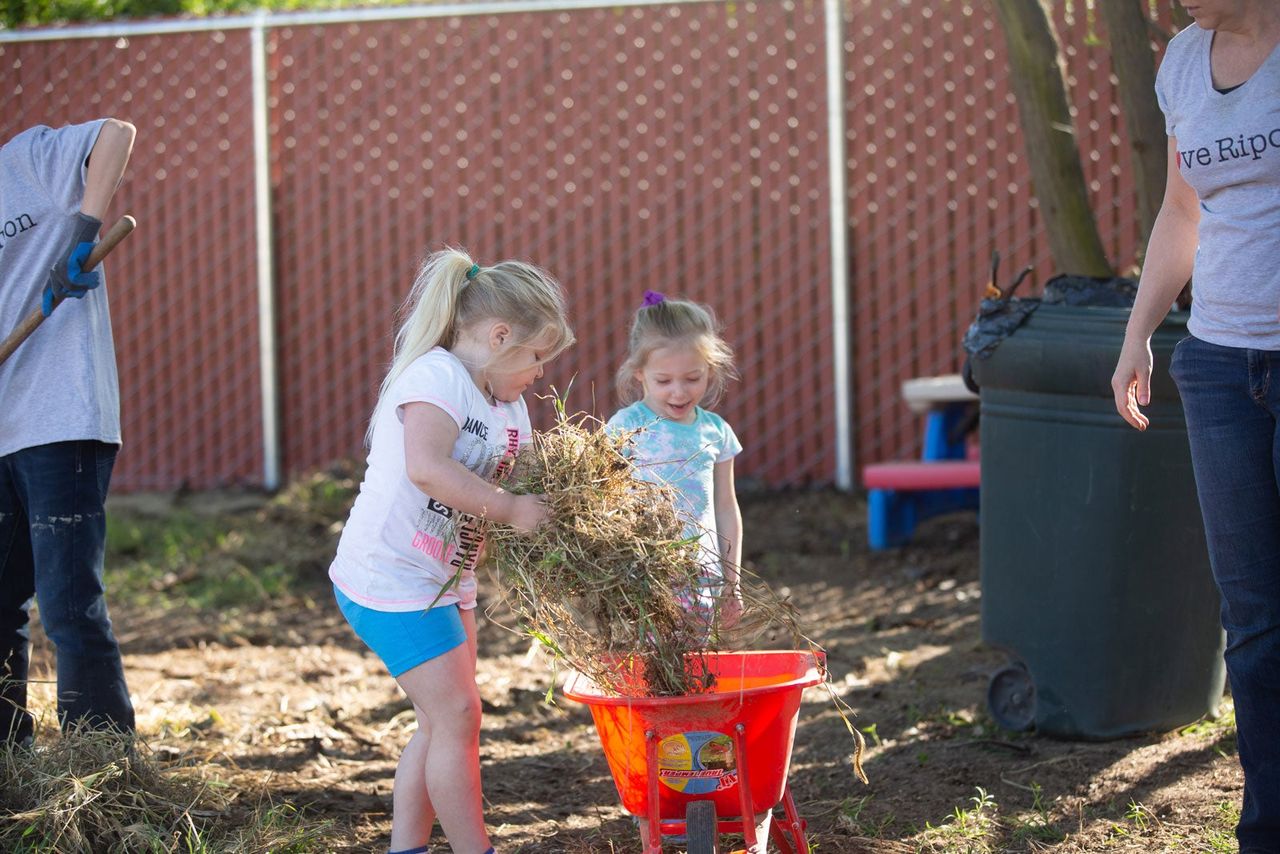 Volunteers clearing the land&nbsp;
