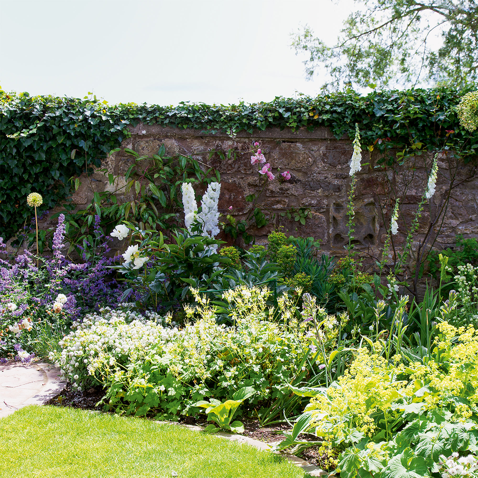 garden flower beds with white planting and flowers