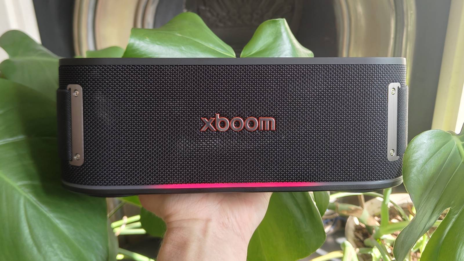 The LG xBoom Bounce by a leafy plant on a shelf.