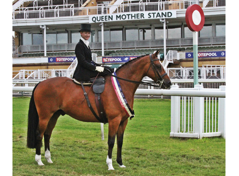 Winning Post
