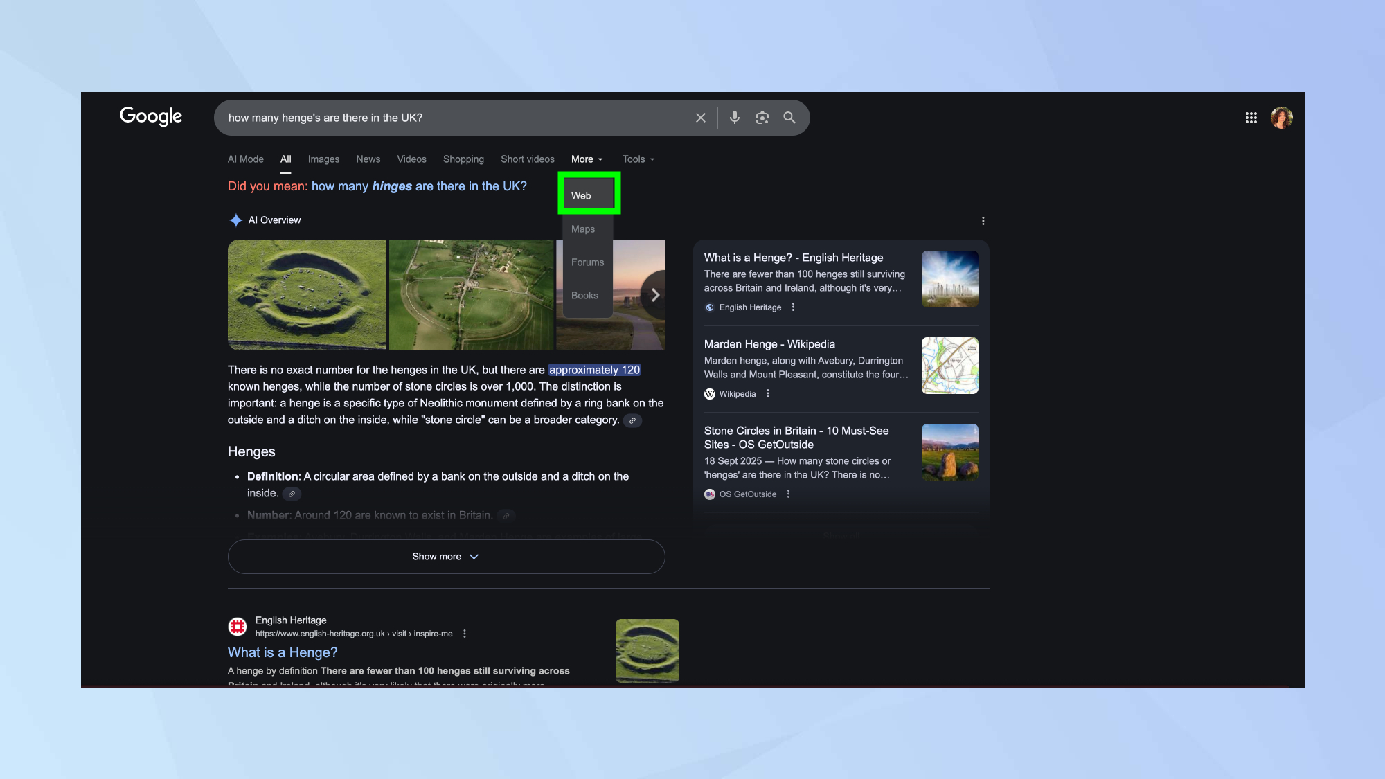 Google AI Overviews workaround (web filter)