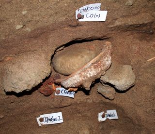 100,000-year-old paint-making kit found in Blombos Cave.