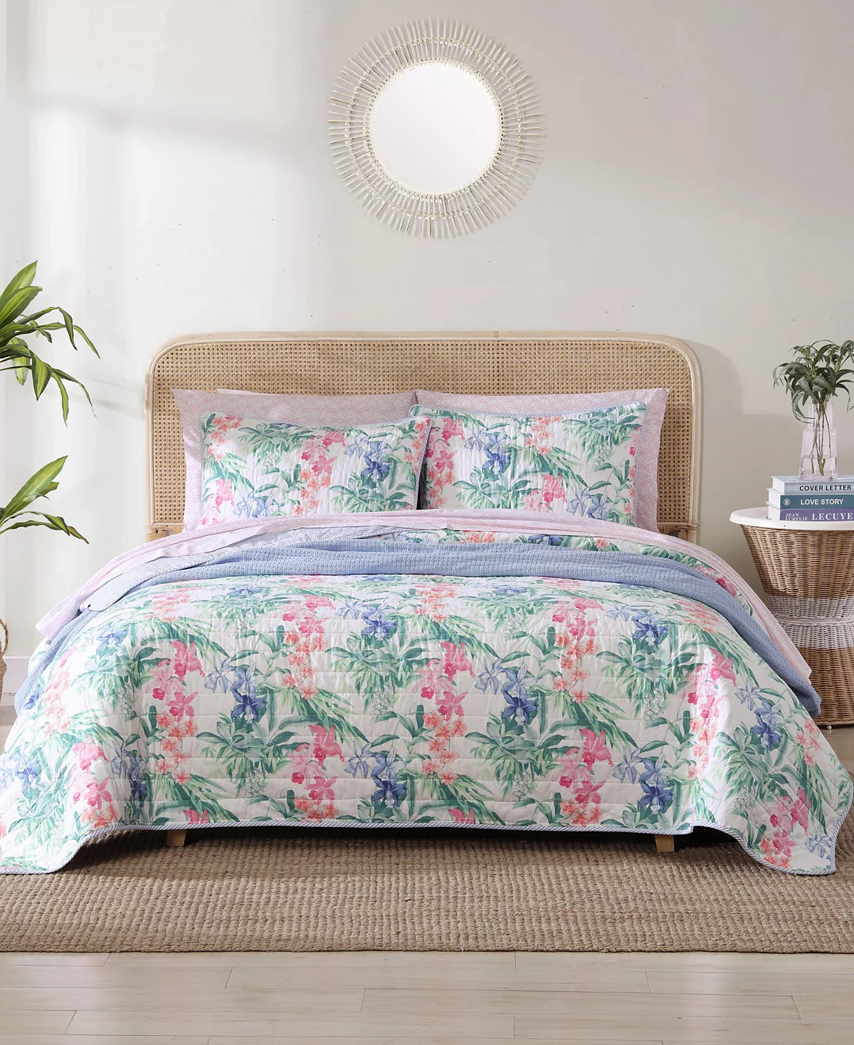 macy's color bed