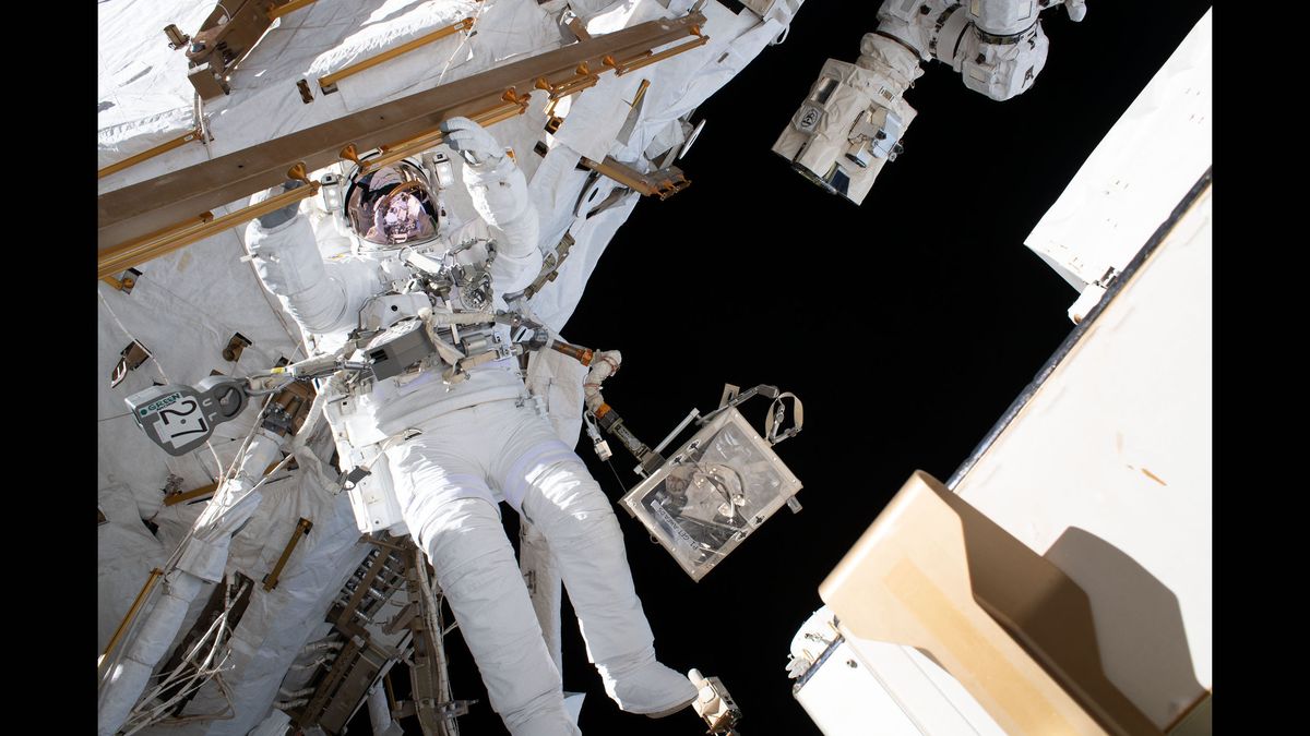 expedition 61 spacewalks gallery