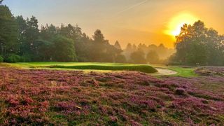 Thetford Golf Club - Hole 16