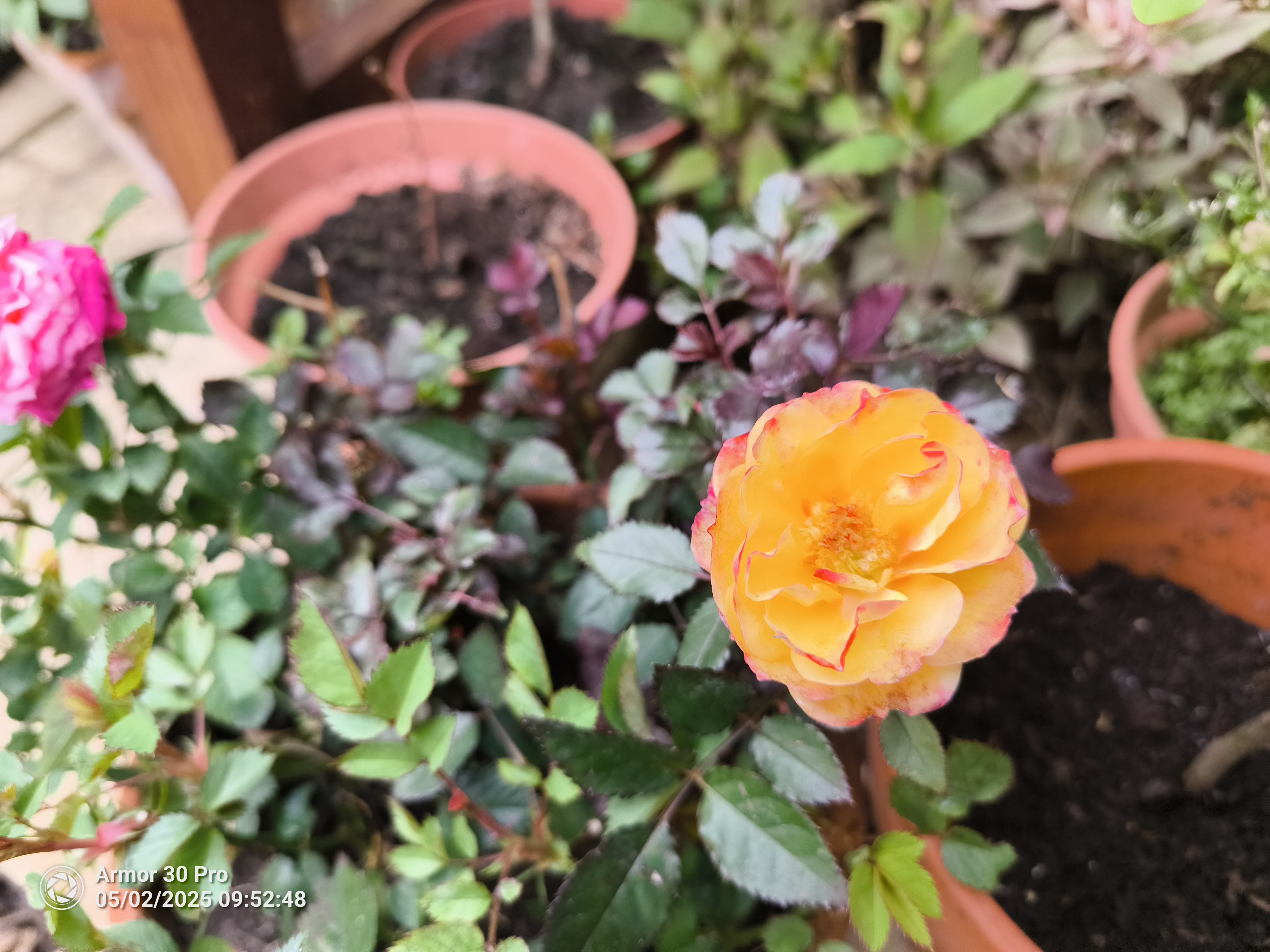 Ulefone Armor 30 Pro Photo Examples