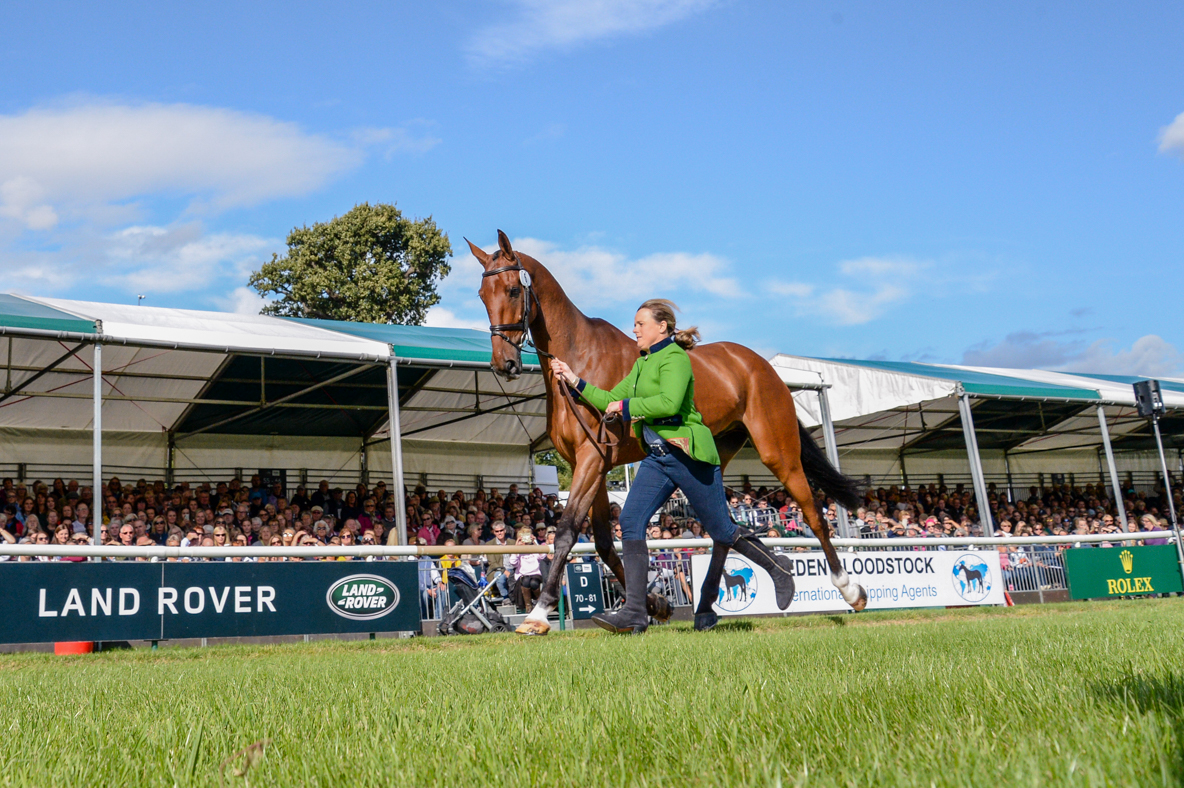 Pippa Funnell (GBR) riding BILLY WALK ON during the 1st vet check of the Land Rover Burghley Horse Trials in the grounds of Burghley House near Stamford in Lincolnshire in the UK between 5 - 8th September 2019 LRBHT 05 09 2019