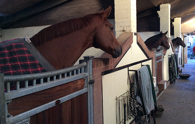 eilberg yard2