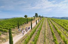 Istria: Identity you can taste