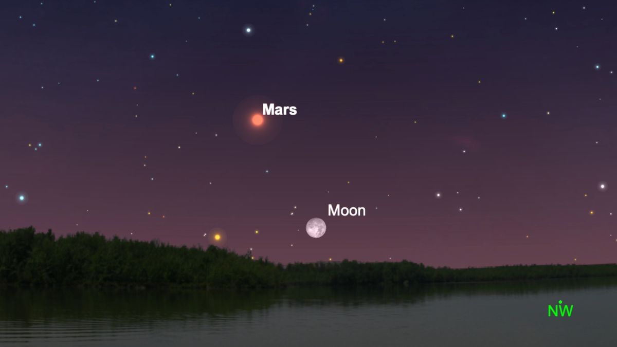 Beobachten Sie, wie der Mars in Opposition diese Woche online hinter dem Mond vorbeizieht