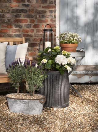 container planting in the garden of a Georgian farmhouse