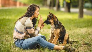 Woman training a puppy Alsation