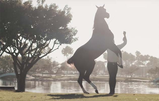 santi-serra-horse-trainer.jpg