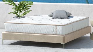 Best organic mattress: image shows the Saatva Zenhaven Latex Mattress placed on a beige bedframe